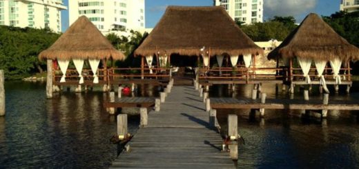 Navíos Seafood Cancún: Restaurante Pet Friendly en la laguna