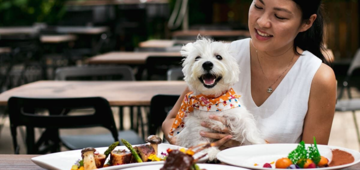 Restaurantes Pet-Friendly: ¿Dónde comer bien en Cancún sin dejar a tu mascota?