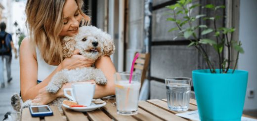 Restaurantes Pet-Friendly: ¿Dónde comer bien sin dejar a tu mascota?