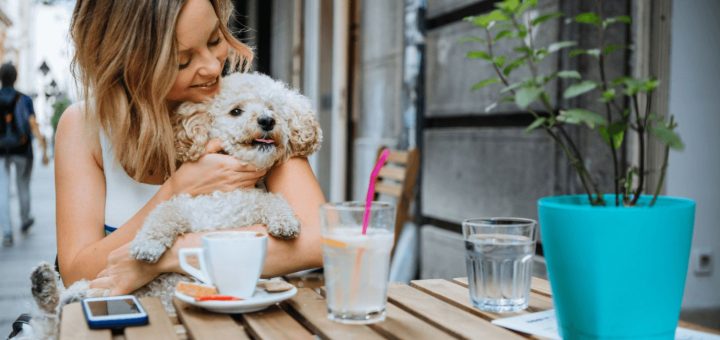 Restaurantes Pet-Friendly: ¿Dónde comer bien sin dejar a tu mascota?