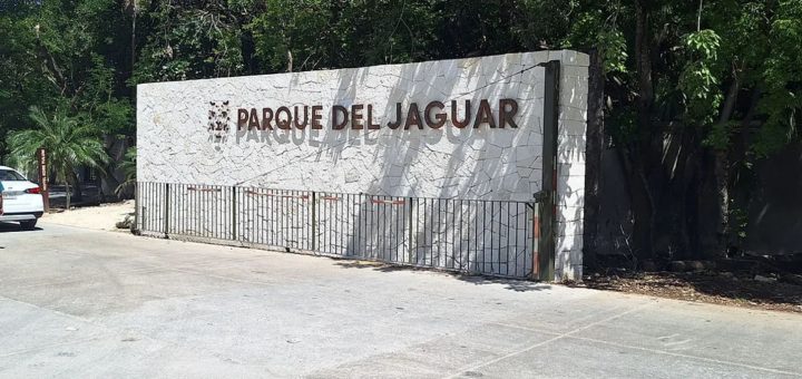 Tulum 2025: Abrirán Parque del Jaguar para los mexicanos en domingo