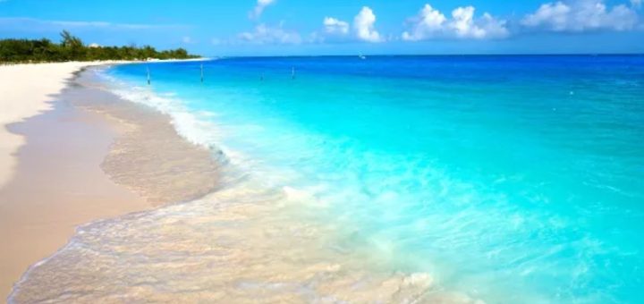 ¿Vas a la playa? entonces esta plataforma es para ti