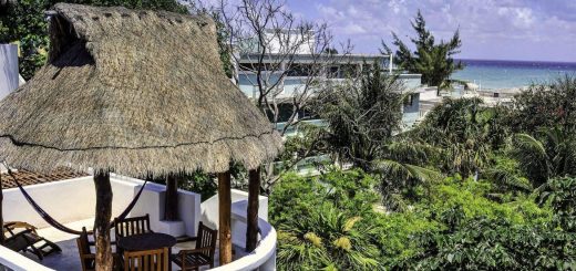 Blue Palms by Kamuvan: Precio y confort en Playa del Carmen