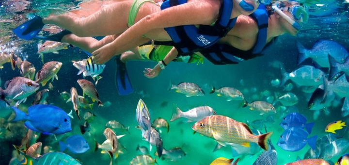 Playa del Carmen: 5 Lugares donde hacer esnórquel