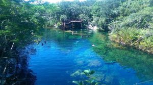 Playa del Carmen: 5 hoteles cerca de Cenote Jardín del Edén