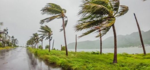 ¿Qué hacer en Cancún cuando llueve? Guía de actividades bajo techo
