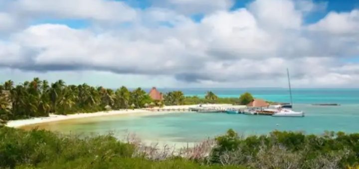Tour privado a Isla Contoy: Experiencia que combina lujo y naturaleza
