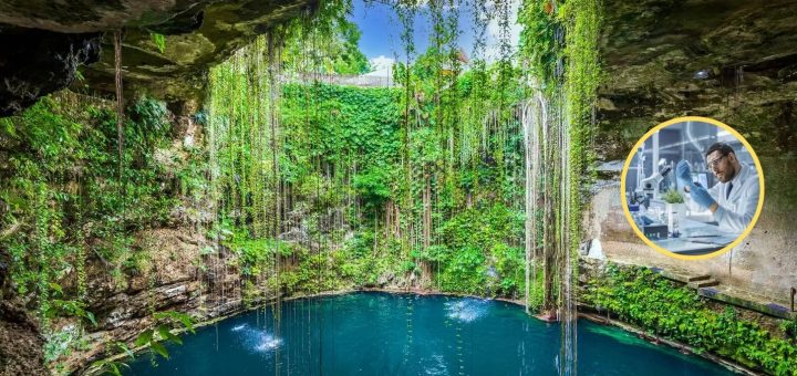 Turismo científico en Cancún: ¿Cómo es esta modalidad?