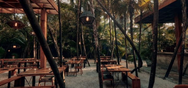 ARCA Tulum: Cocina de autor en la selva maya