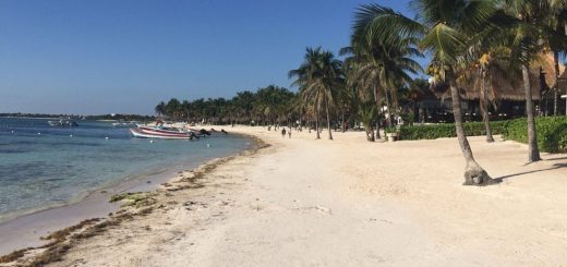 Akumal 2025: Estos son los tours más populares