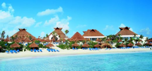 Bahía de Akumal: ¿Qué hacer además de esnórquel?