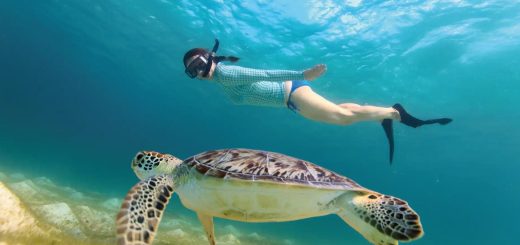 Conoce los 10 mejores tours de Akumal