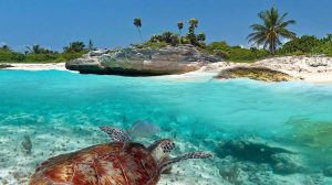 Hoteles cerca de Playa Xcacel-Xcacelito: Hospédate junto al paraíso natural