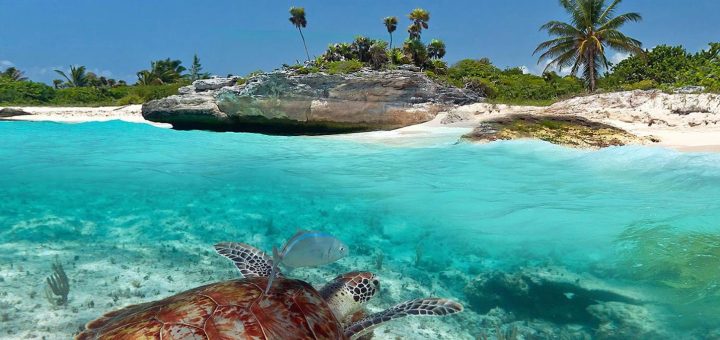 Hoteles cerca de Playa Xcacel-Xcacelito: Hospédate junto al paraíso natural