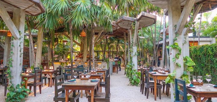 Wild Tulum: Un restaurante inmersivo entre la selva y el mar